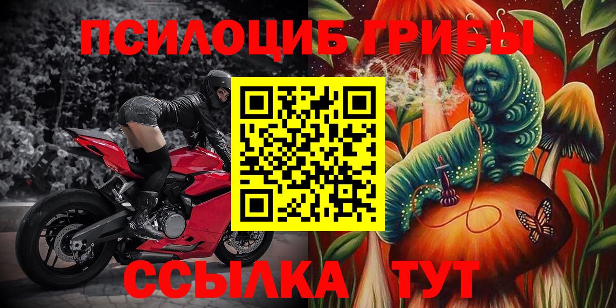 Галлюциногенные грибы Cubensis Анжеро-Судженск
